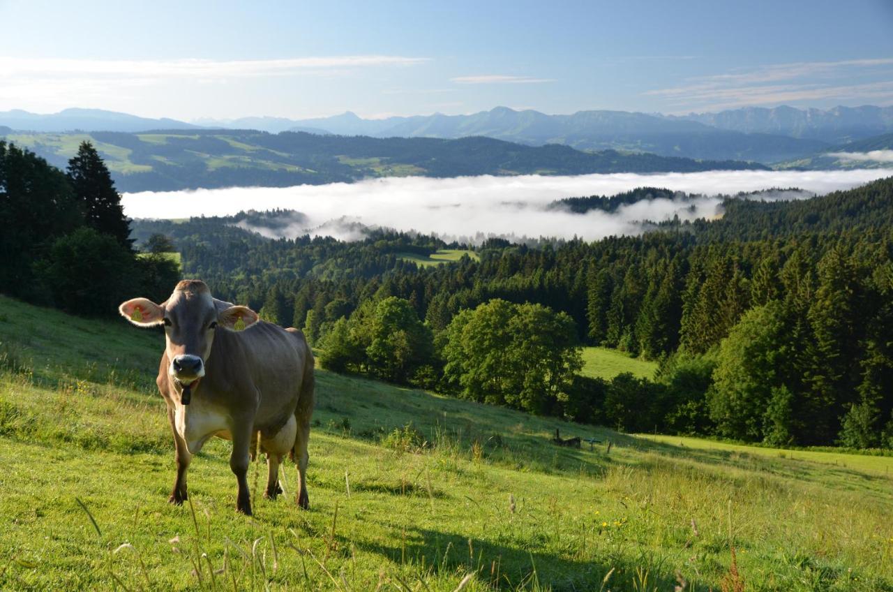 Hotel Alpenrose Gut Schlafen & Fruehstuecken Scheidegg Esterno foto
